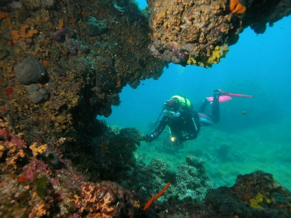 Casa de hóspedes Mirko Diving Center Hotel Barbat na Rabu